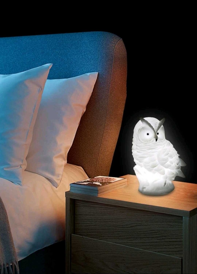 لمبة ليلي شكل البومة قطعة واحدة4