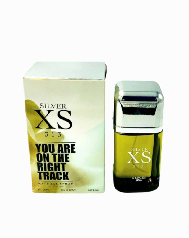 Gercey Silver XS 313